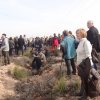 marche del jarama117